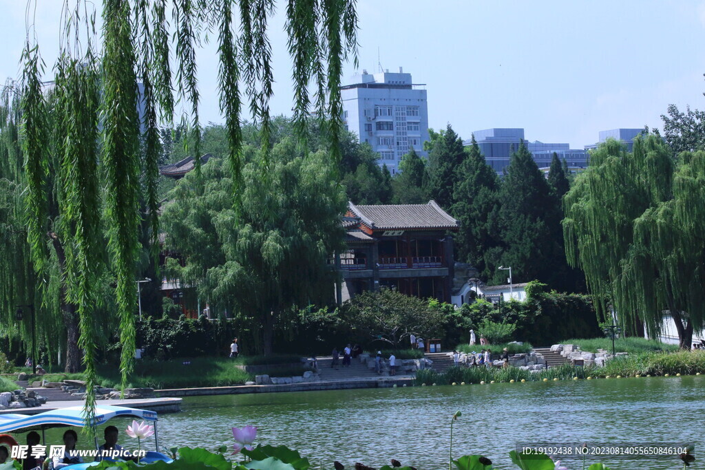 公园风景 