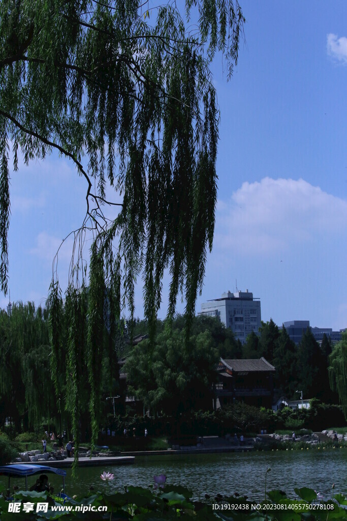 公园风景 