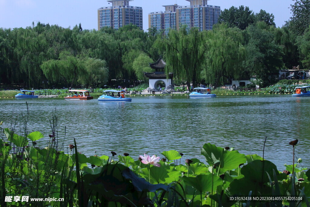 公园风景 