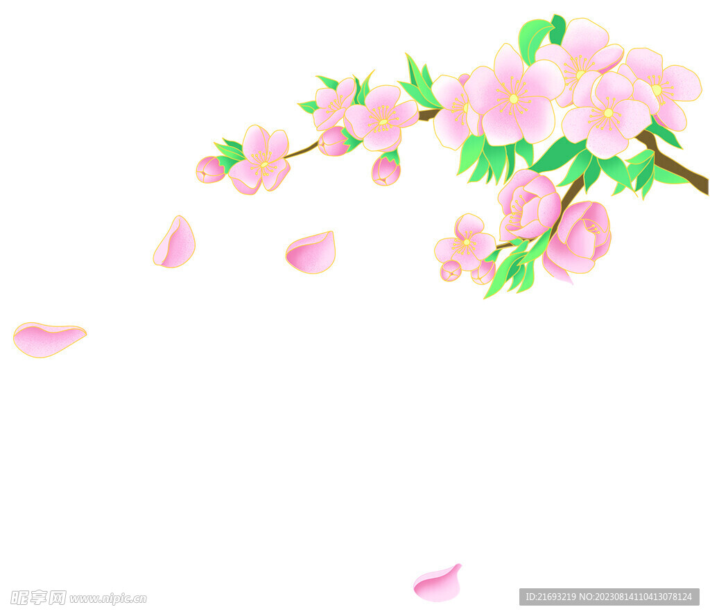  桃花盛开 