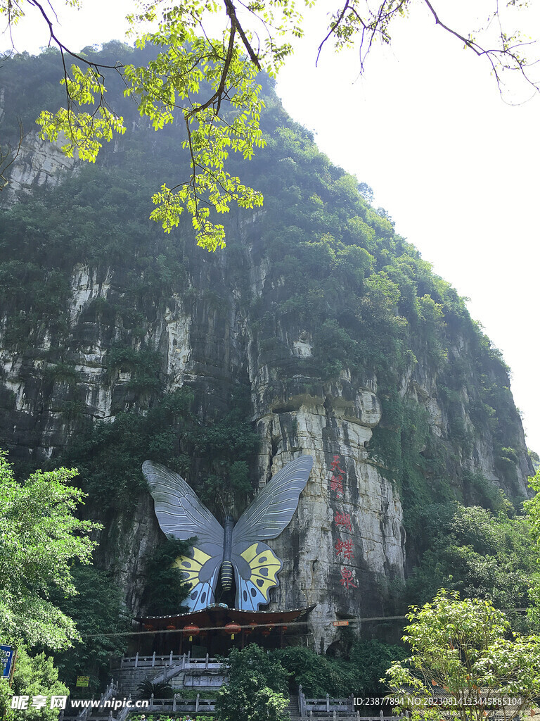 阳朔蝴蝶泉