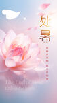 处暑海报