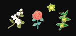 茉莉花枣花设计 