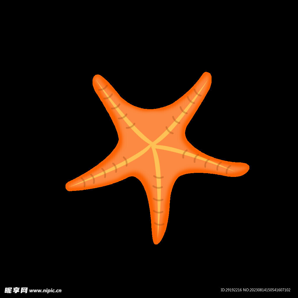 海星