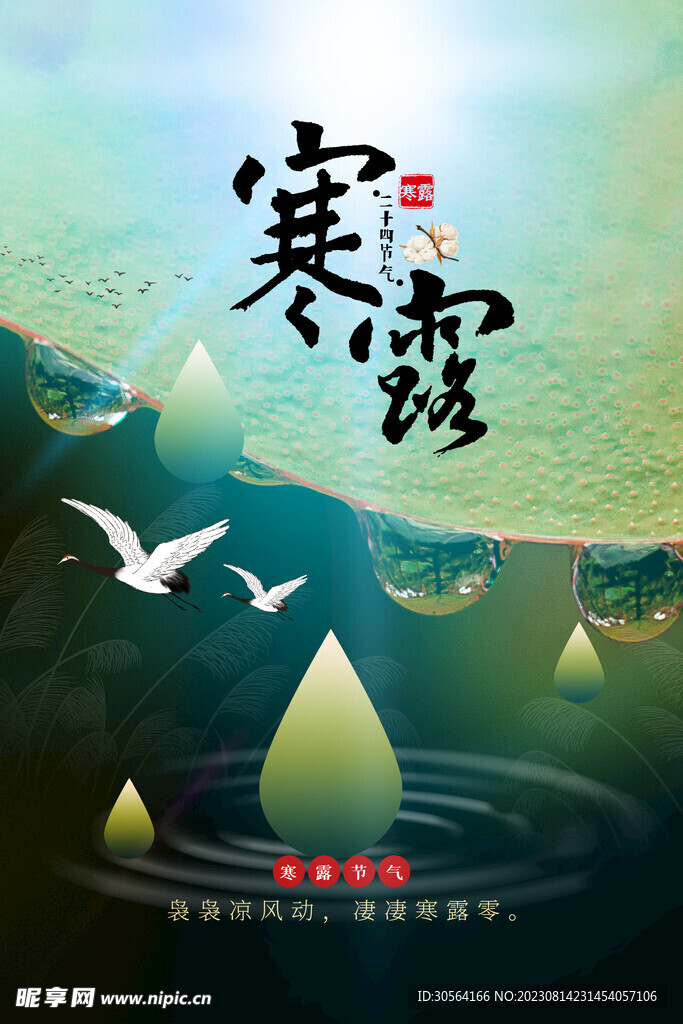 寒露