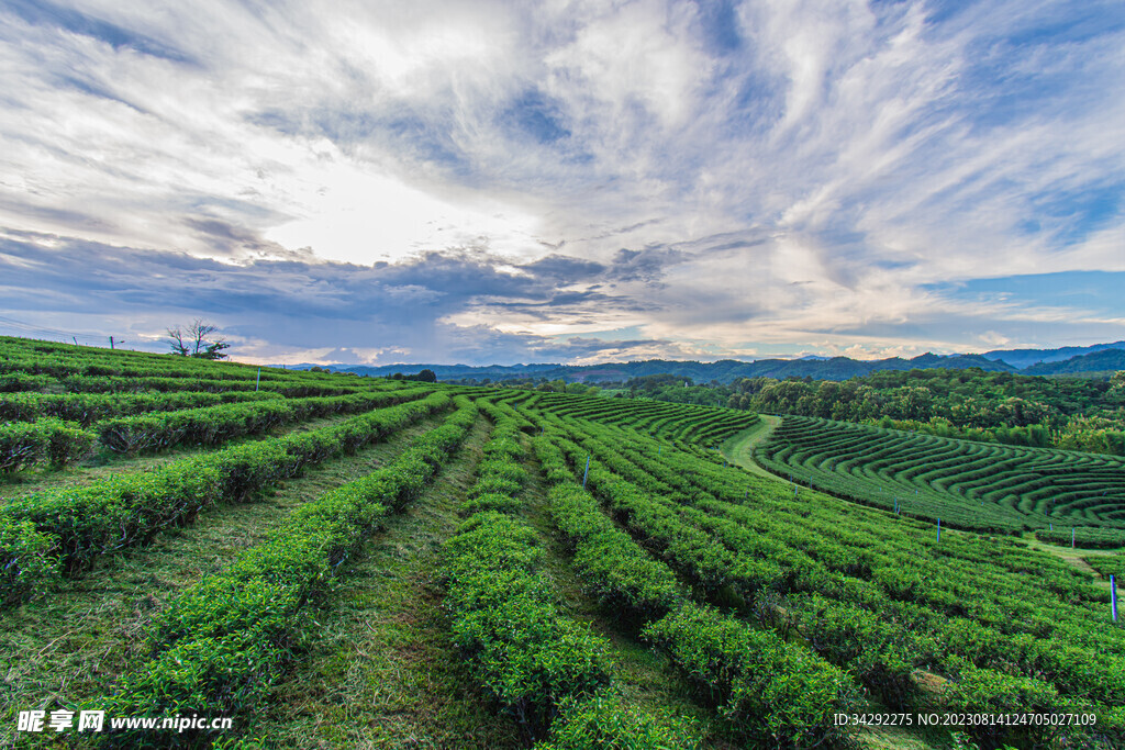 田园风景