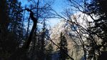 树林和雪山