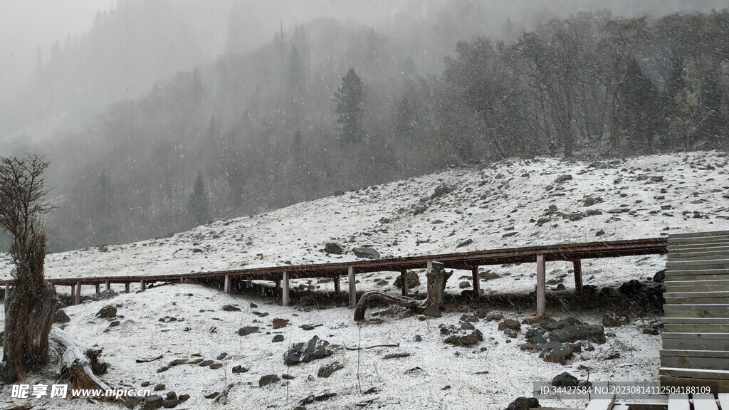 雪景和木桥