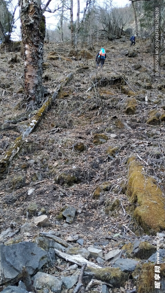 山坡上的登山者