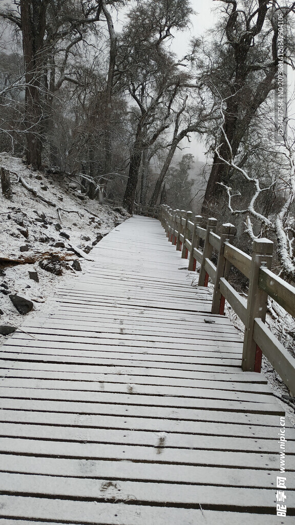 雪景和木桥