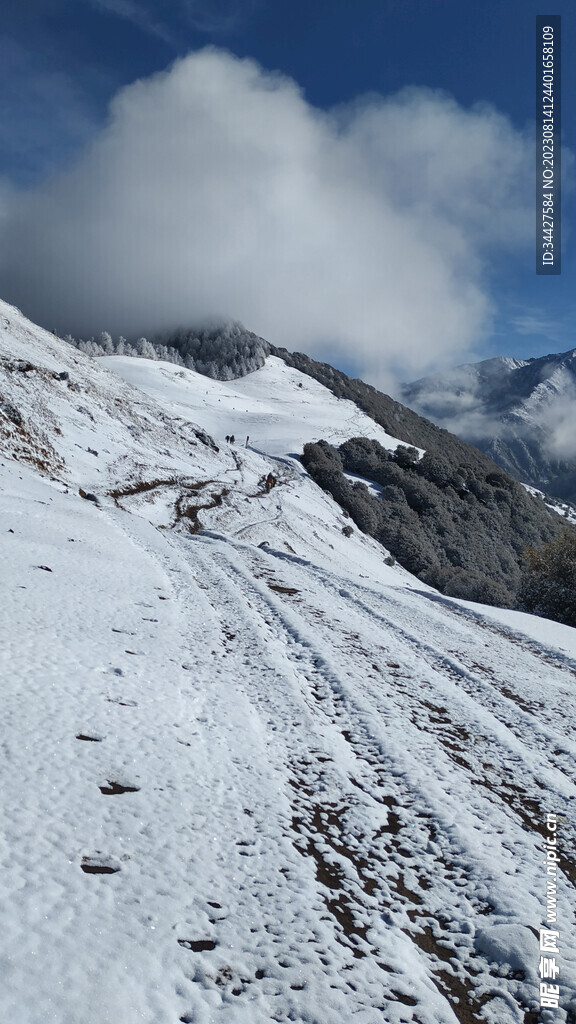 雪山和云海