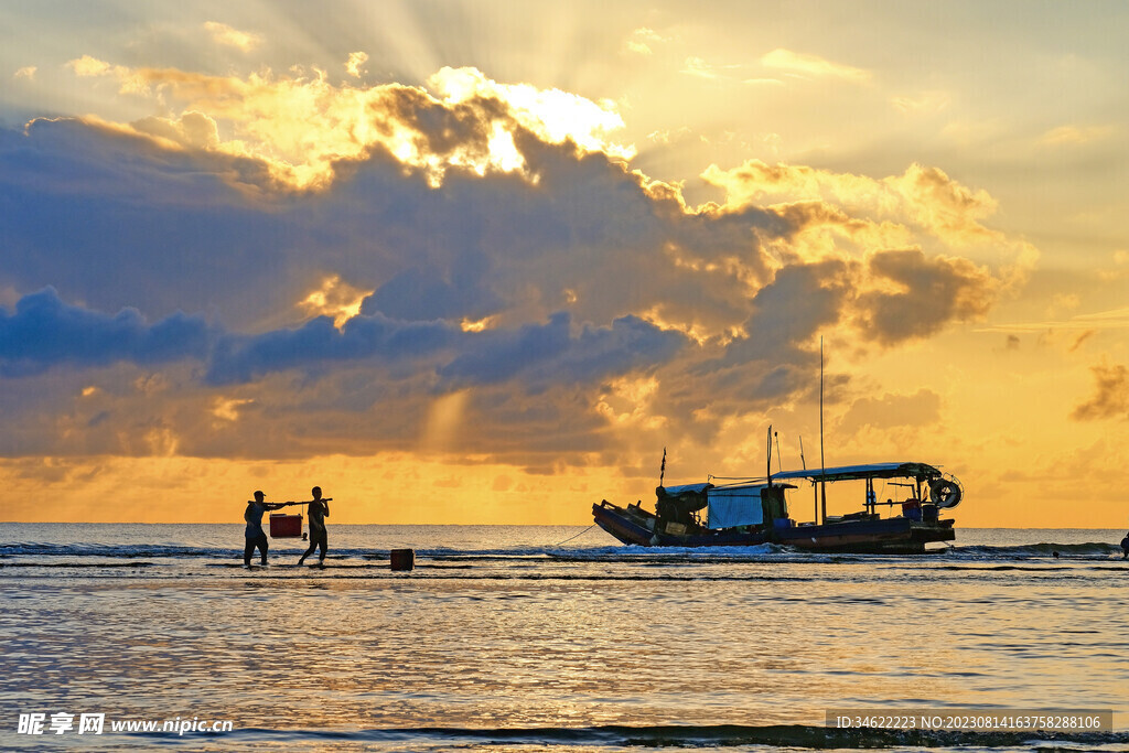 大海归巢