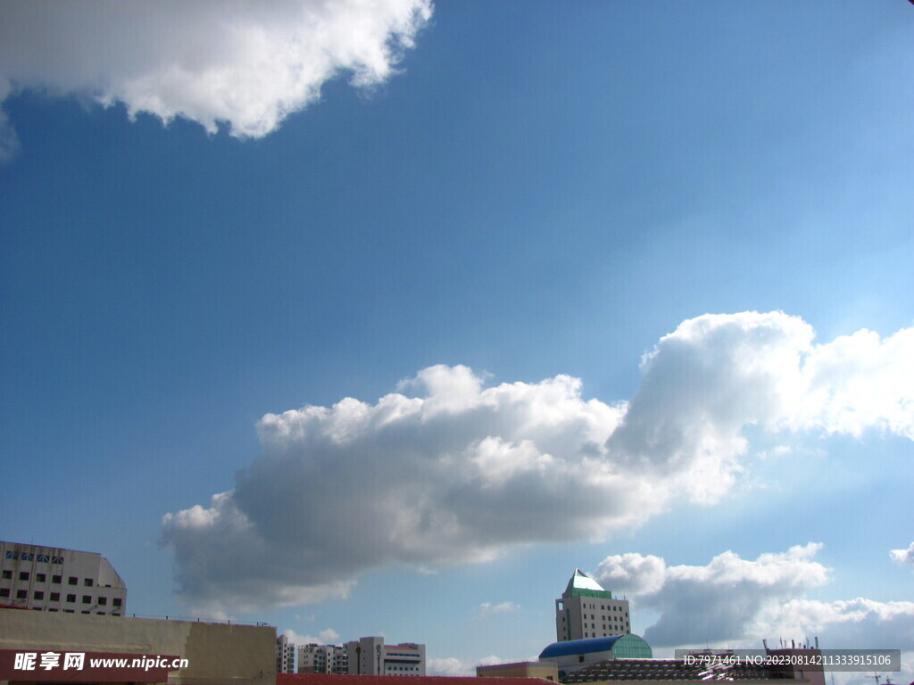 棉花糖的夏日
