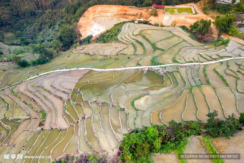 梯田风景