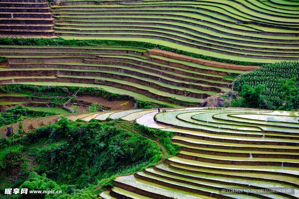 梯田风景