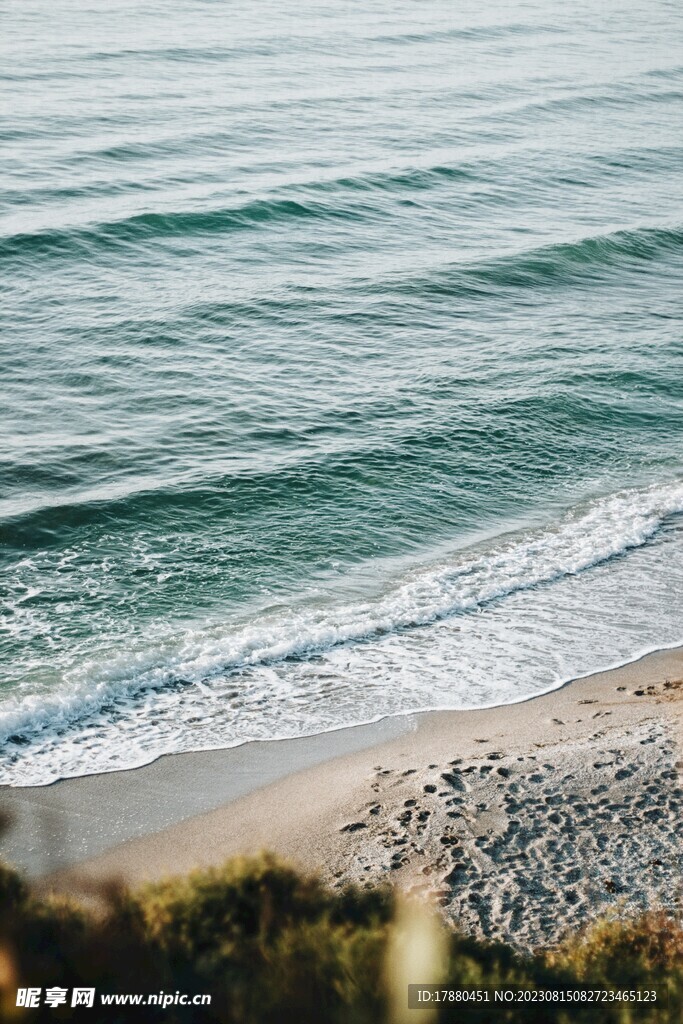 大海