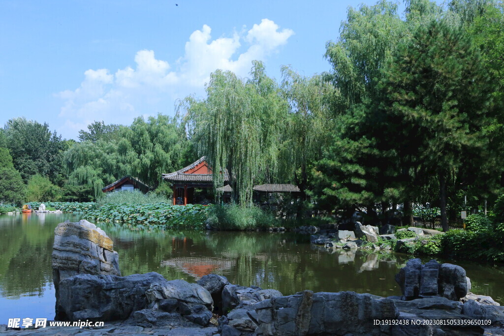 公园风景 