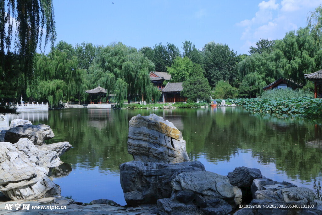 公园风景 