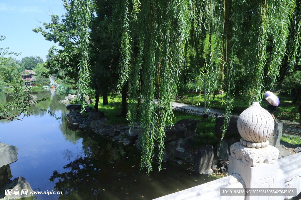 公园风景 