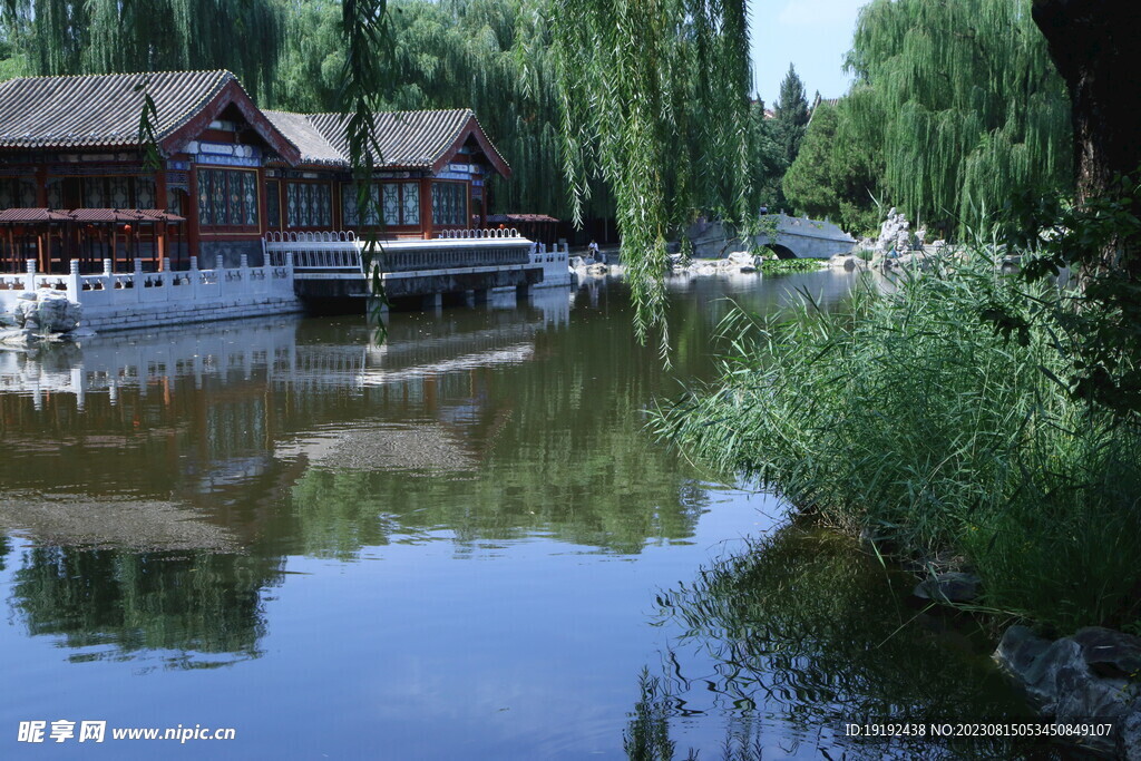 公园风景  