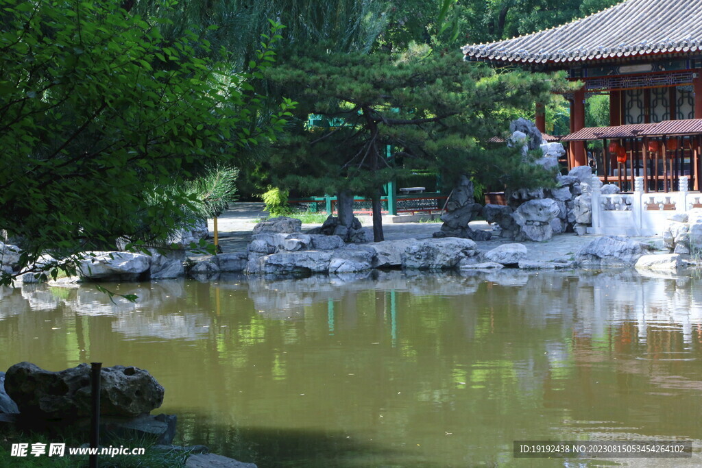 公园风景 