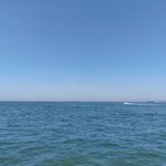 大海