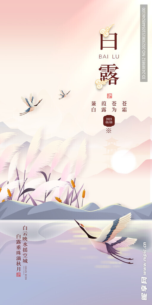 白露