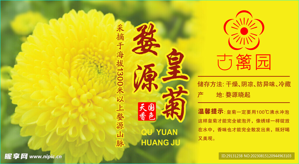 皇菊