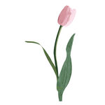 卡通鲜花