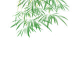 手绘竹叶