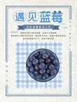 遇见蓝莓