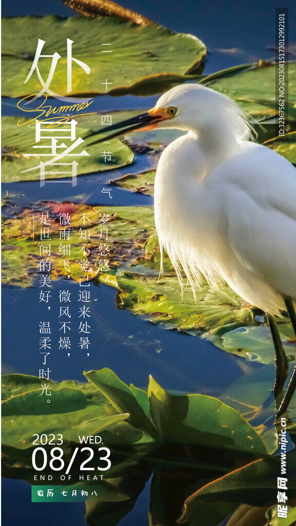 处暑海报