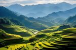 梯田