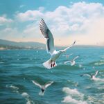 海鸥
