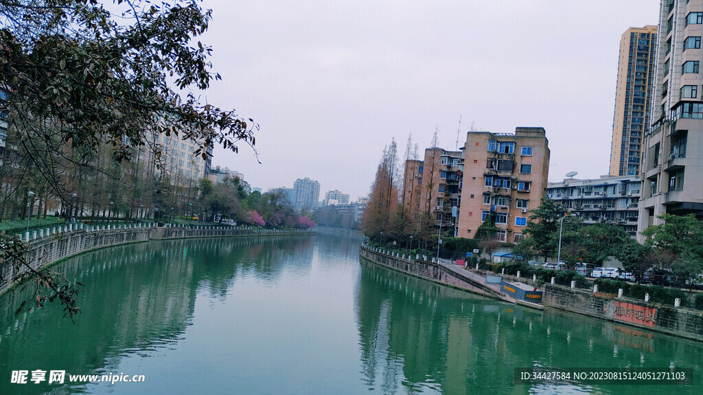 河景和樱花