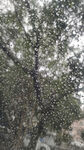 水滴素材