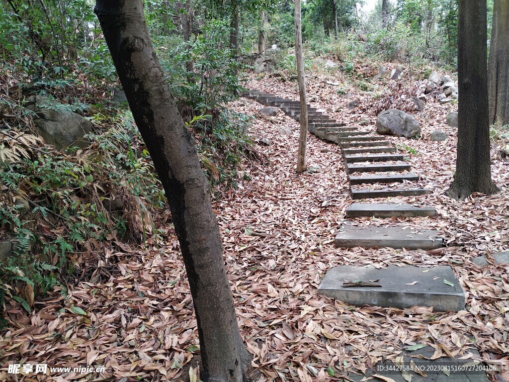 山路梯级