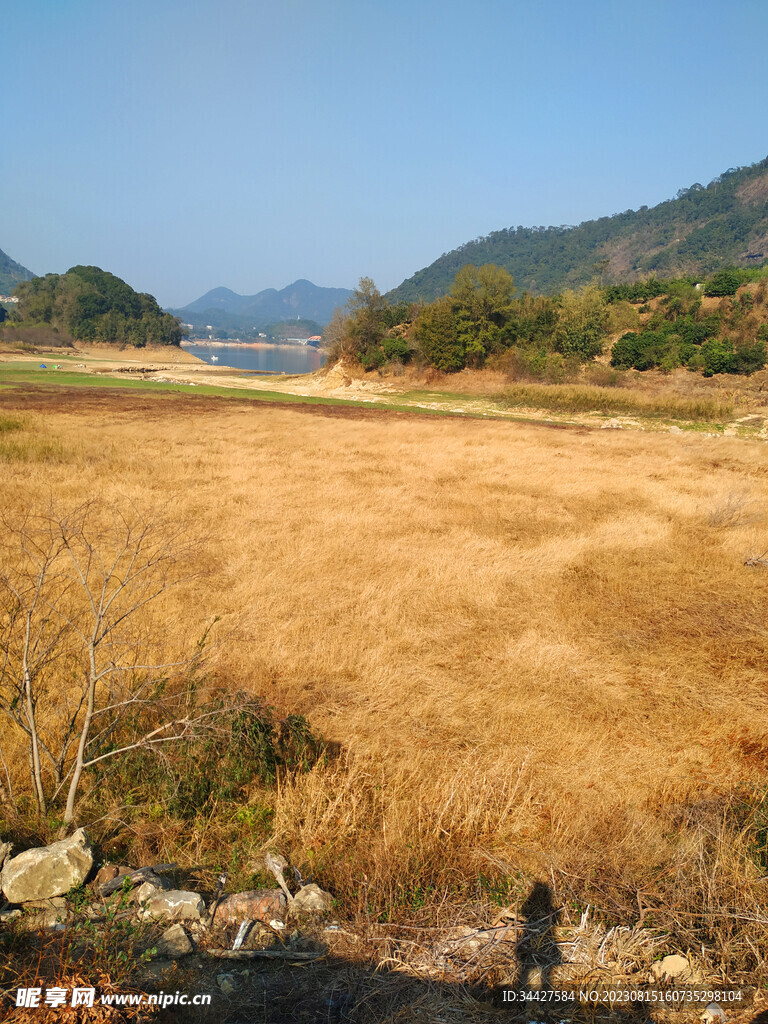草泽地和湖