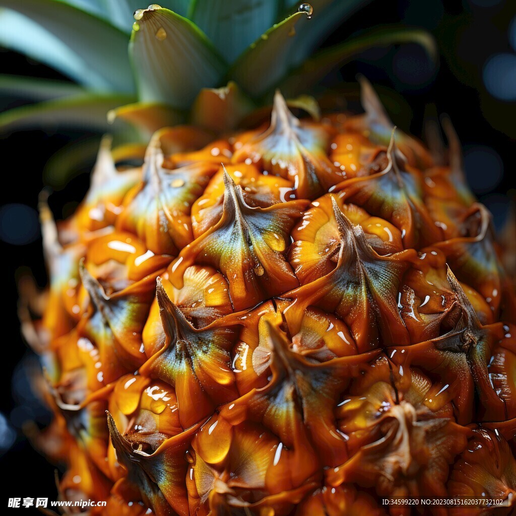 菠萝