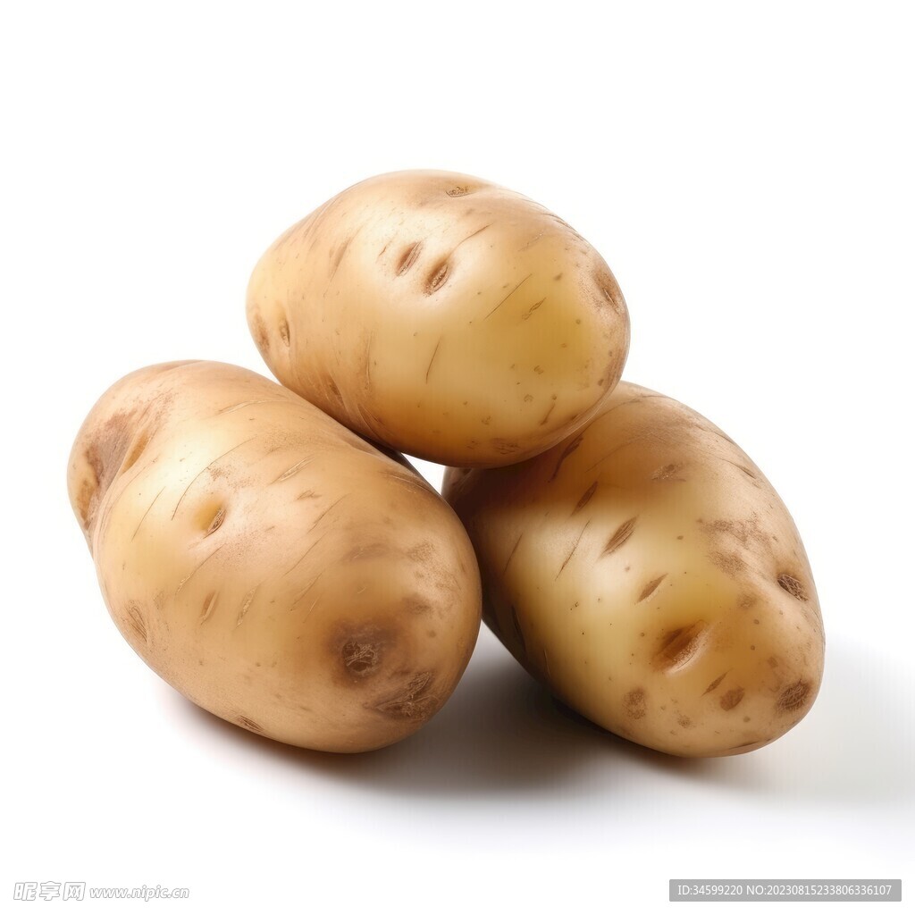 土豆 