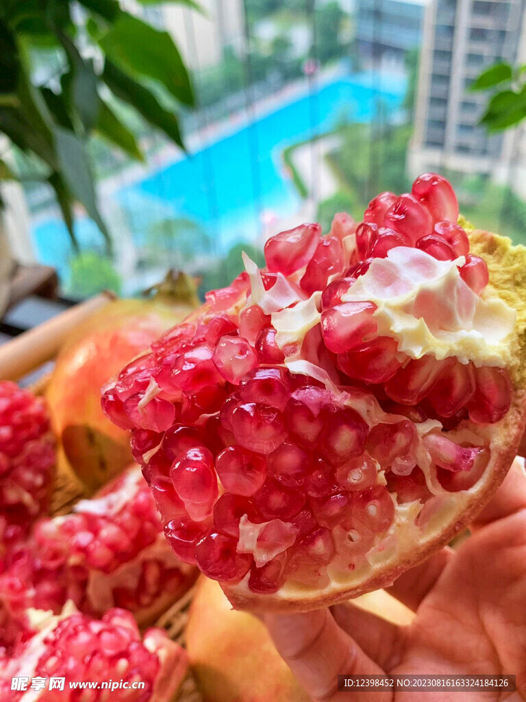 石榴