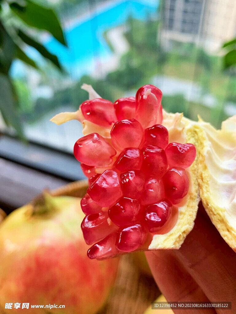 石榴