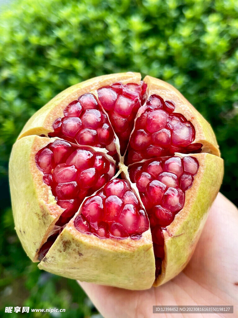 石榴