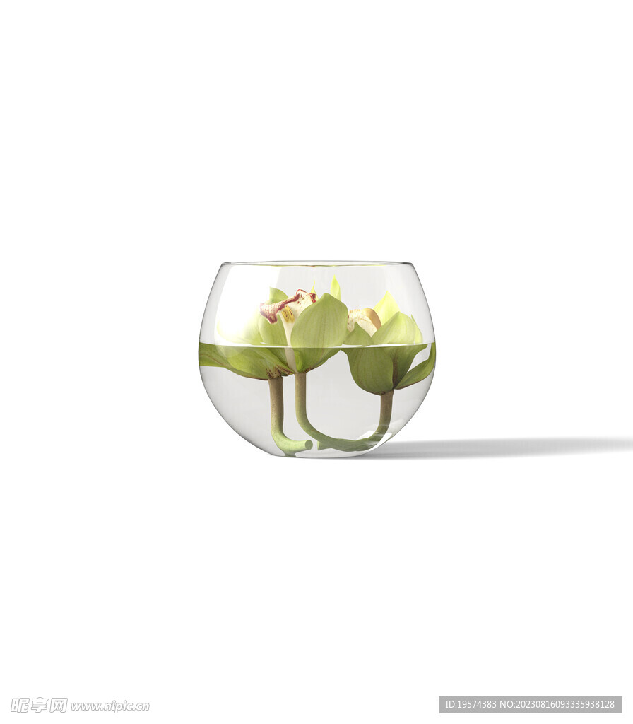 白底花盆 