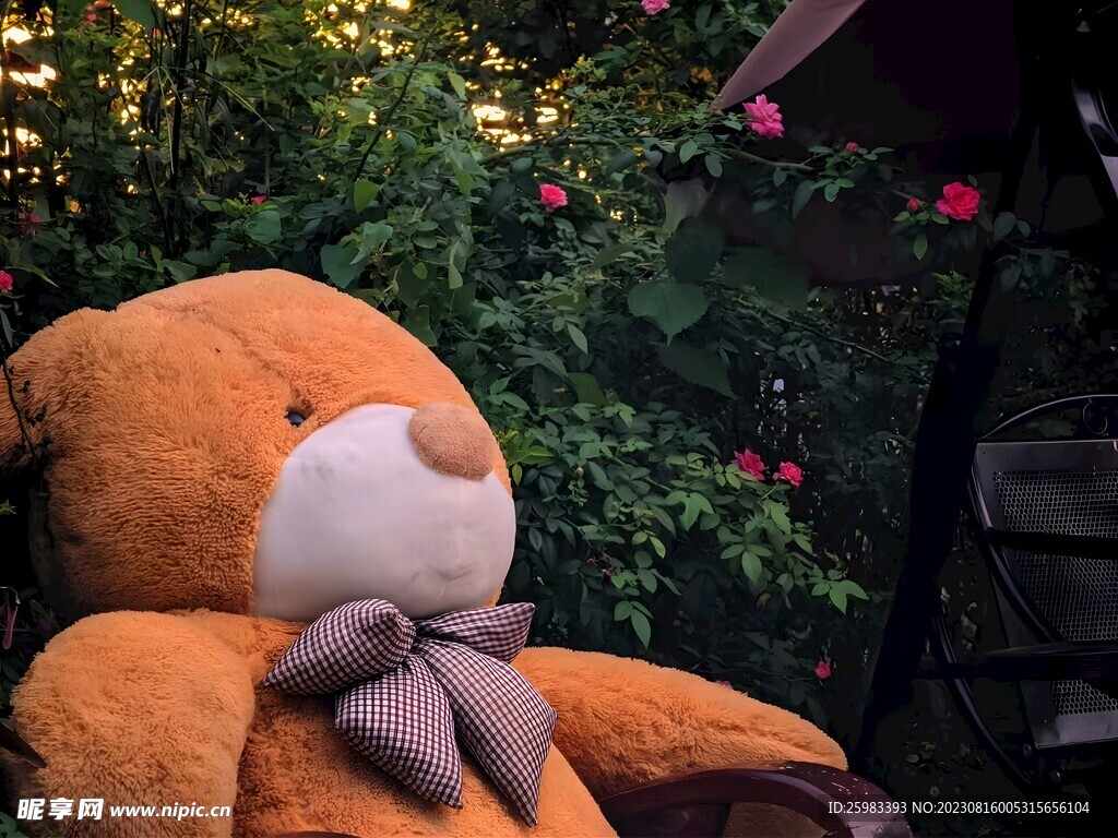玩具熊