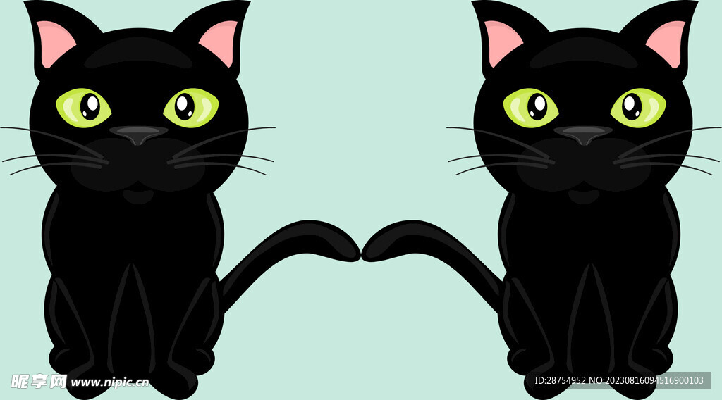 猫咪