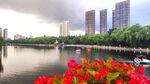 公园阴雨天景色