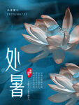 处暑24节气海报