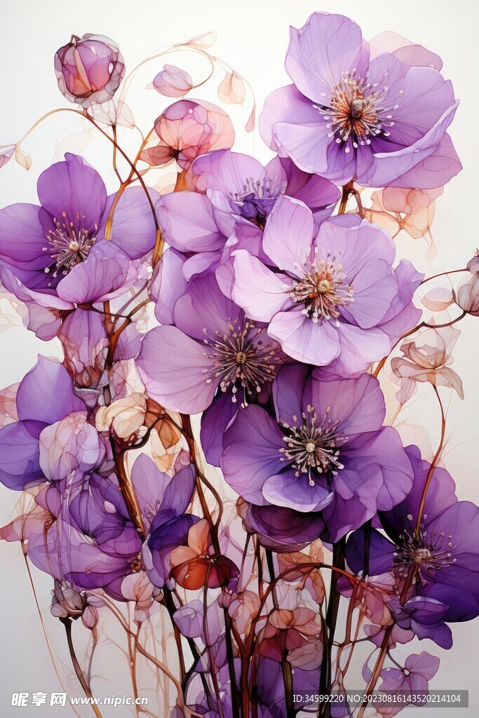 花朵框画 