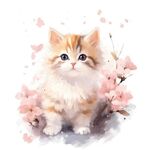 小猫水彩画 